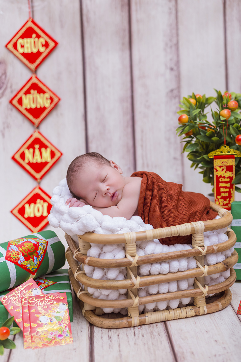 album ảnh newborn 19